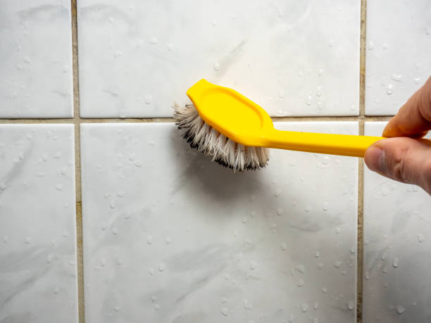 Best Professional Mold Removal  in Brooklyn, IN